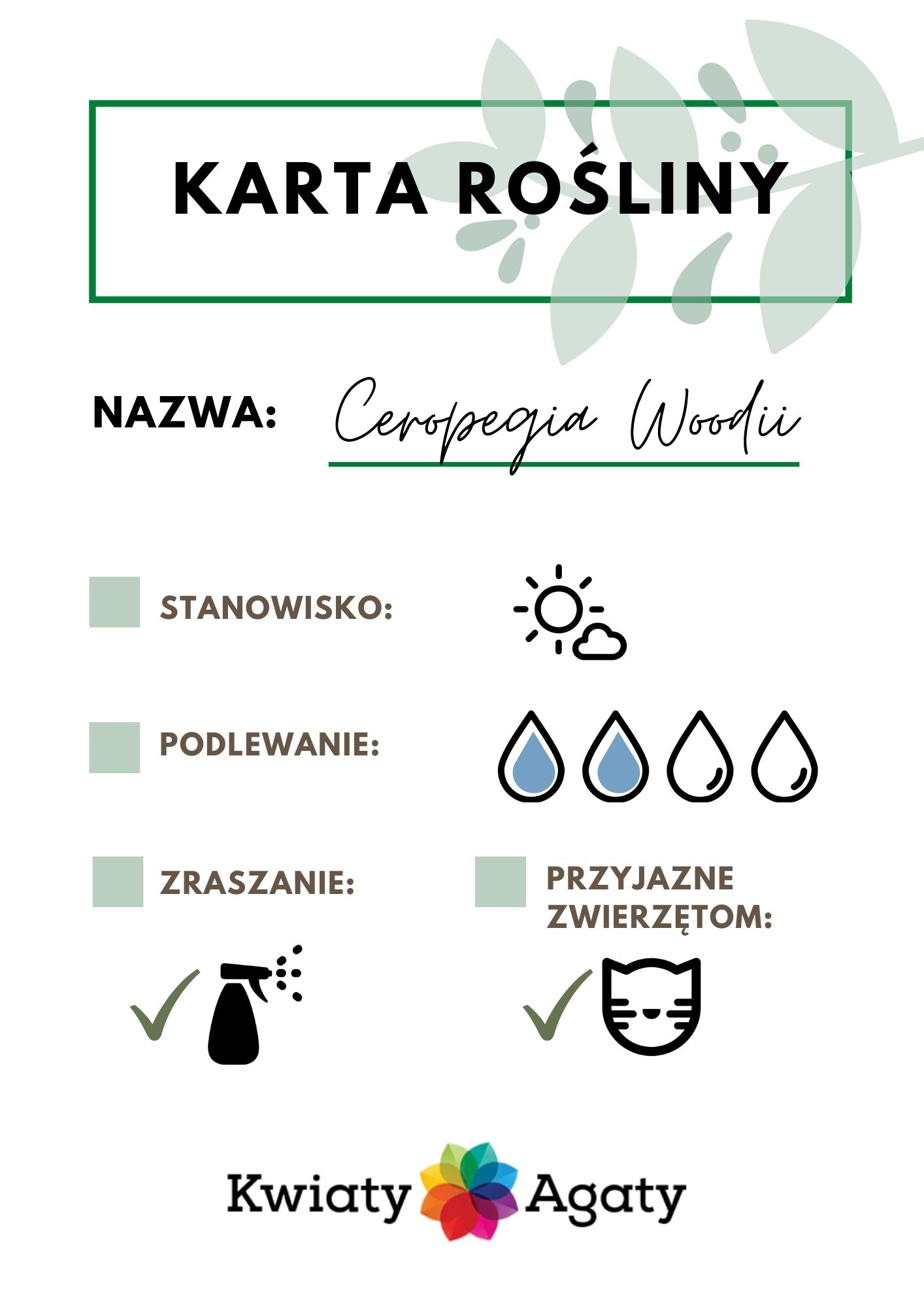 karta-rosliny-ceropegia