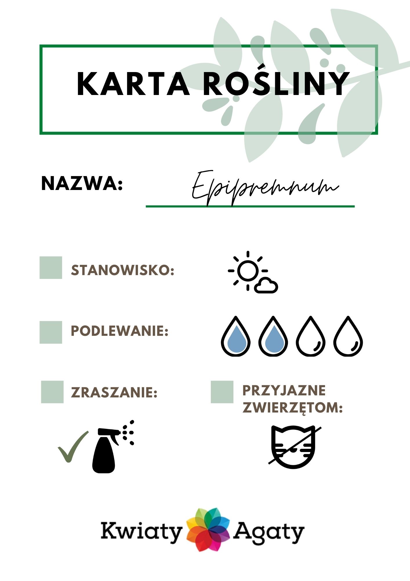 karta-rosliny-epipremnum