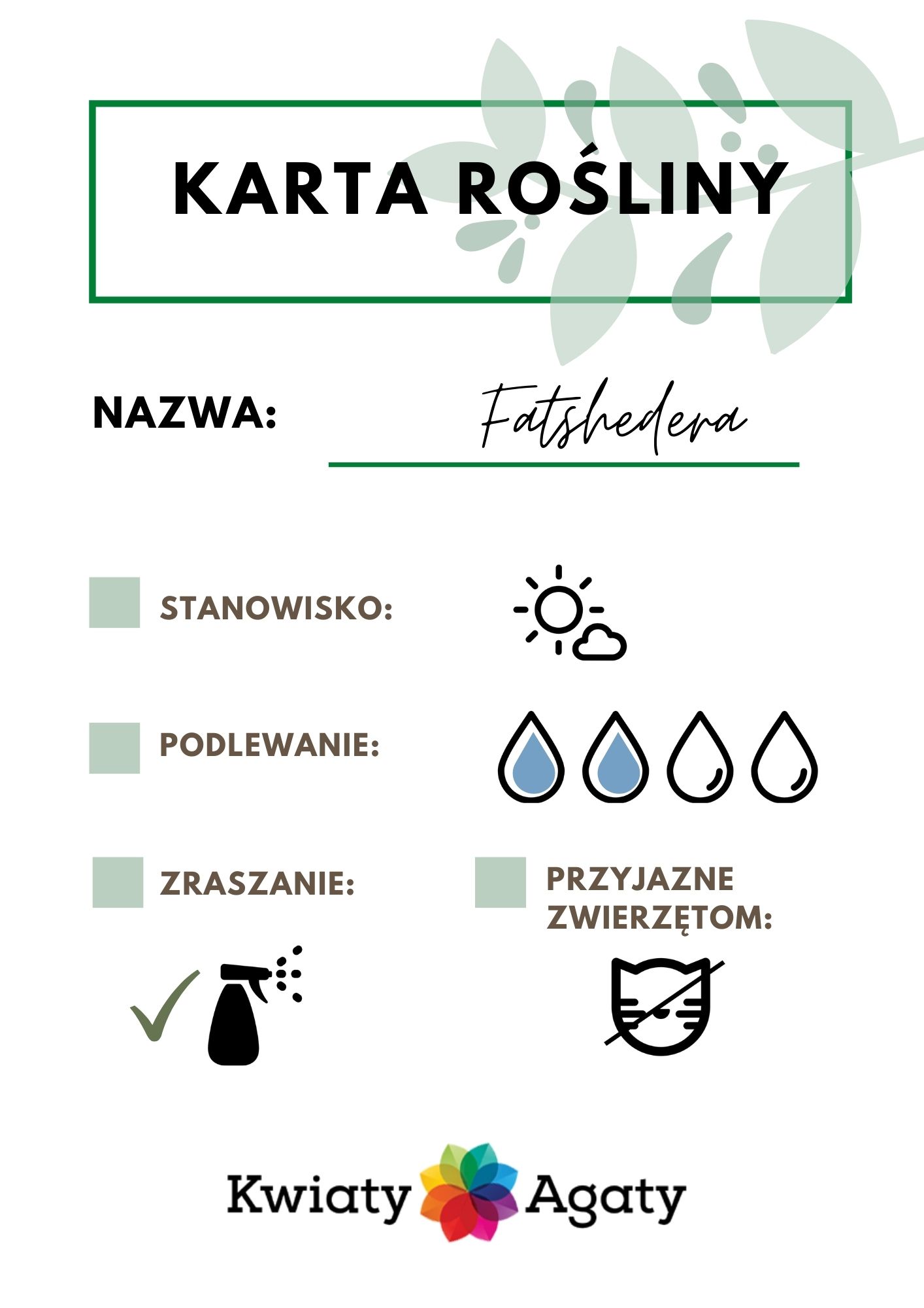 karta-rosliny-fatshedera