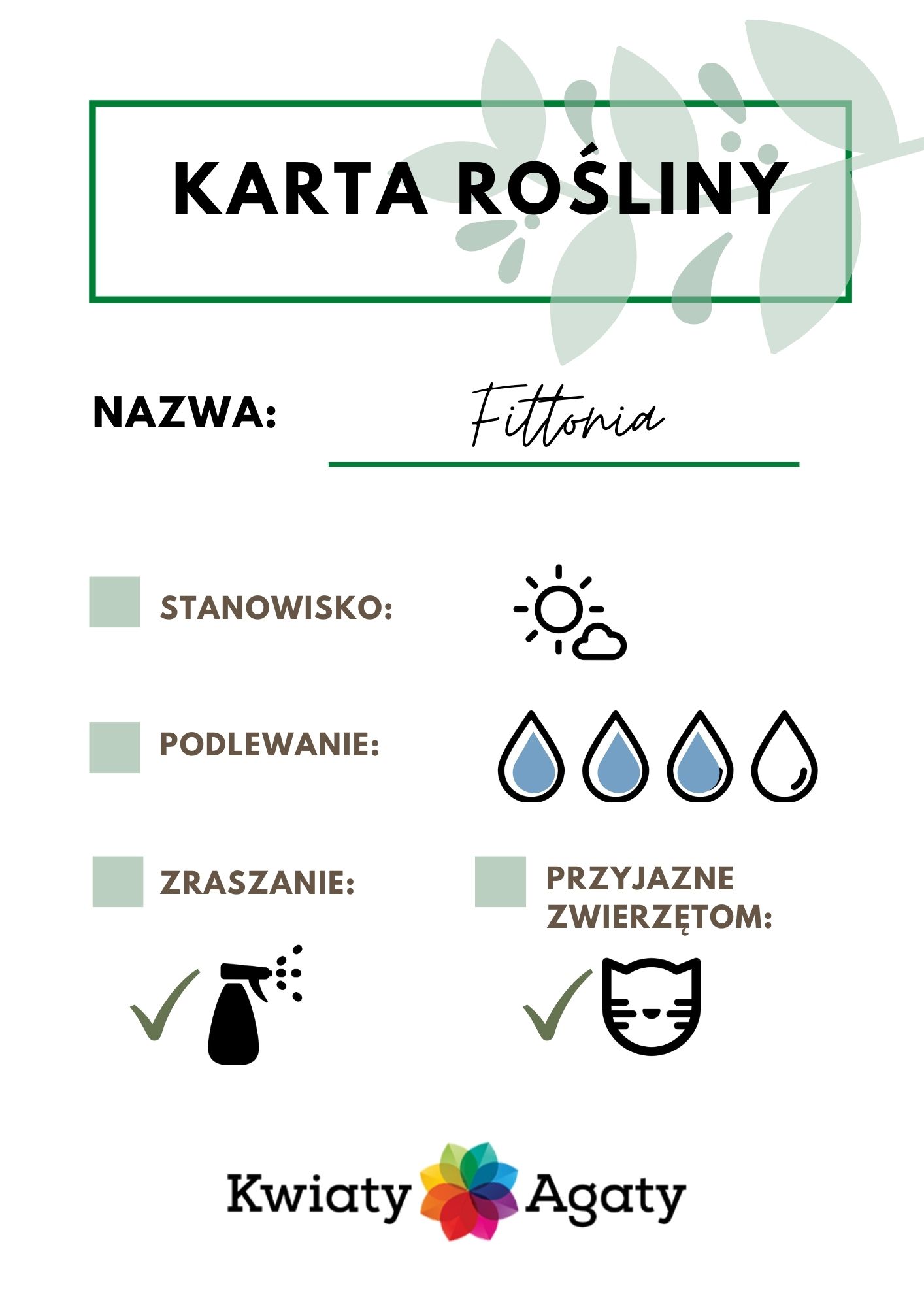 karta-rosliny-fittonia