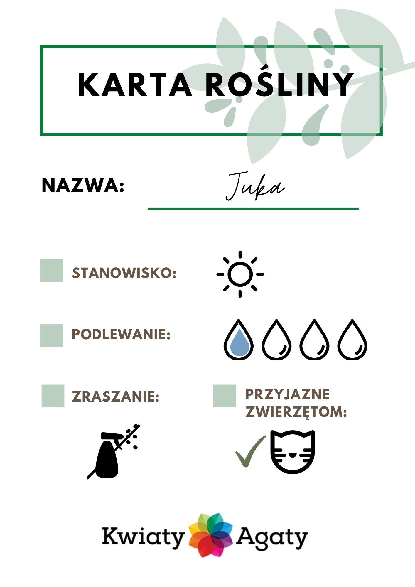 karta-rosliny-juka