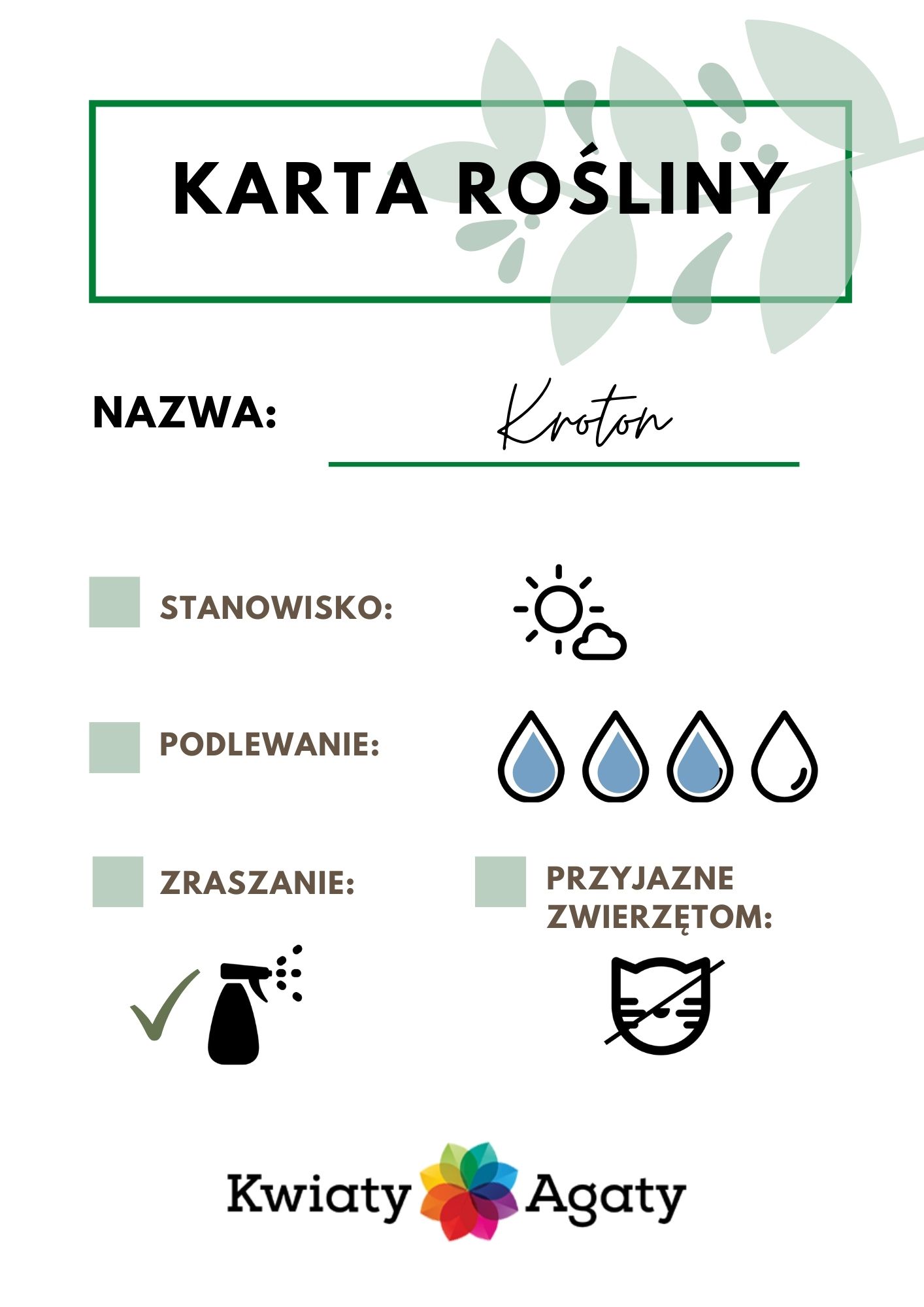 karta-rosliny-kroton