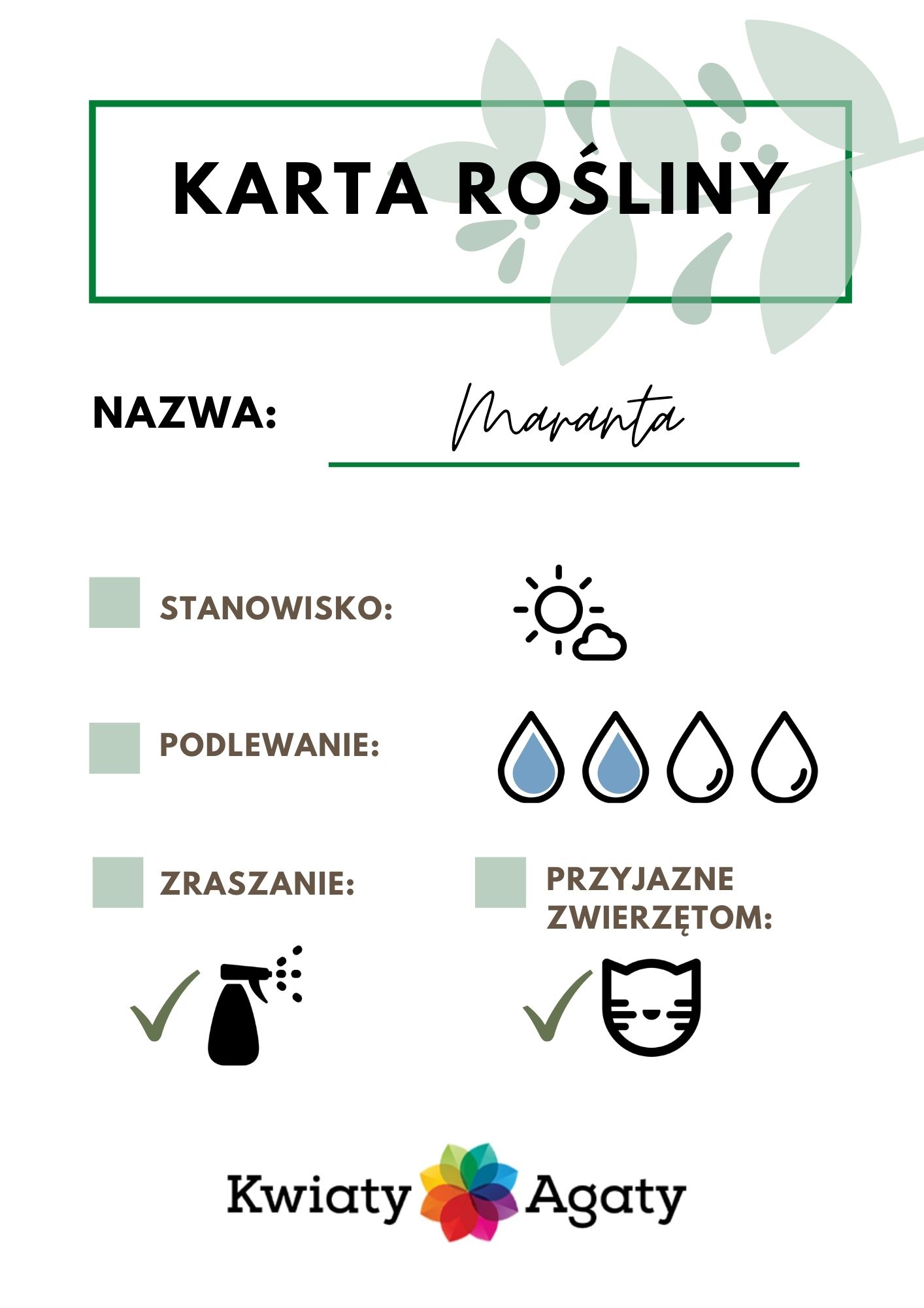 karta-rosliny-maranta