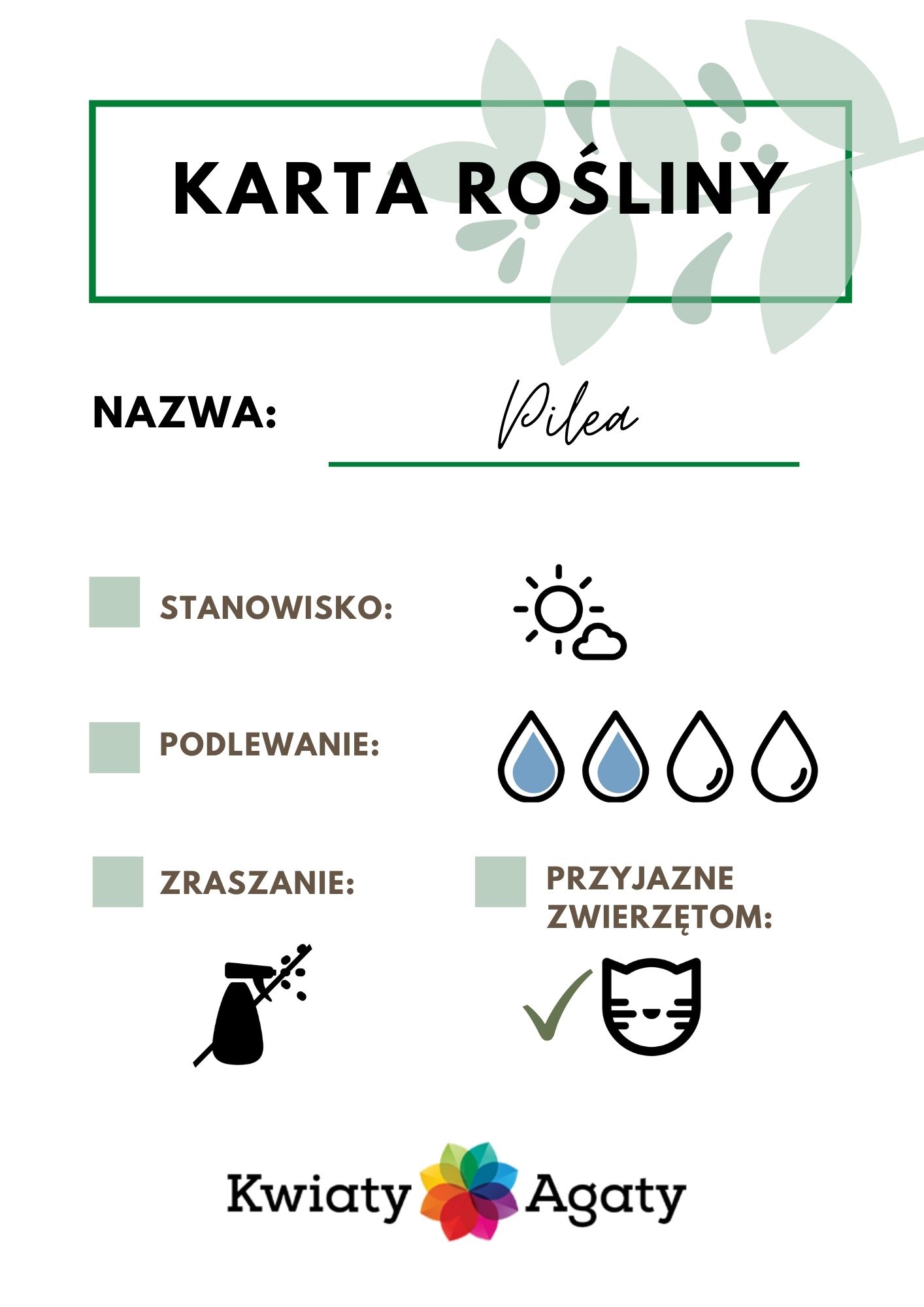 karta-rosliny-pilea