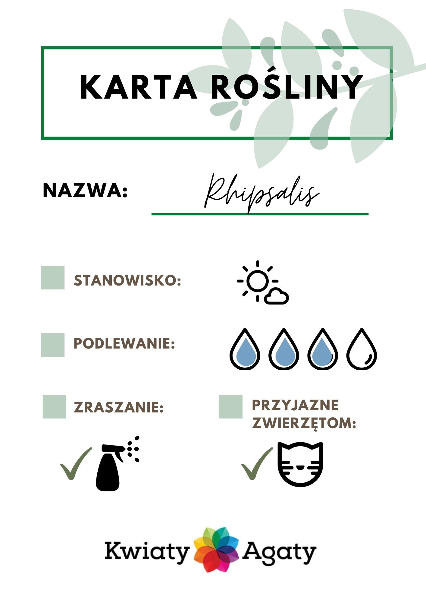 karta-rosliny-rhipsalis