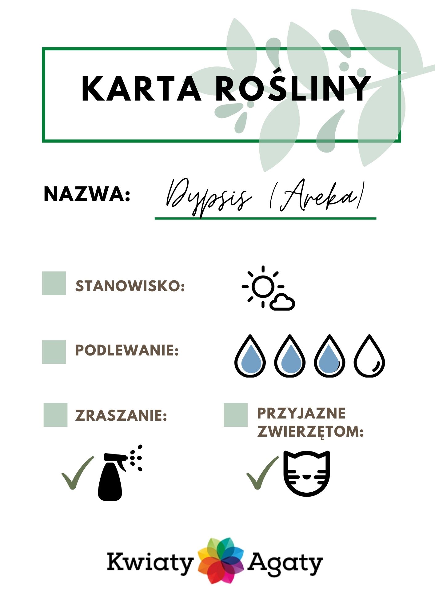 karta-rosliny-senecio-dypsis
