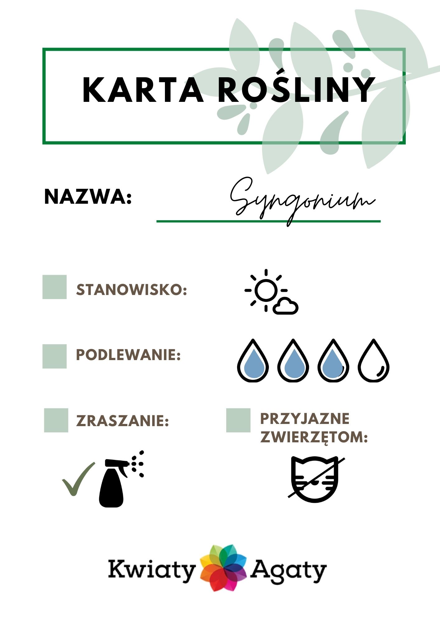 karta-rosliny-syngonium