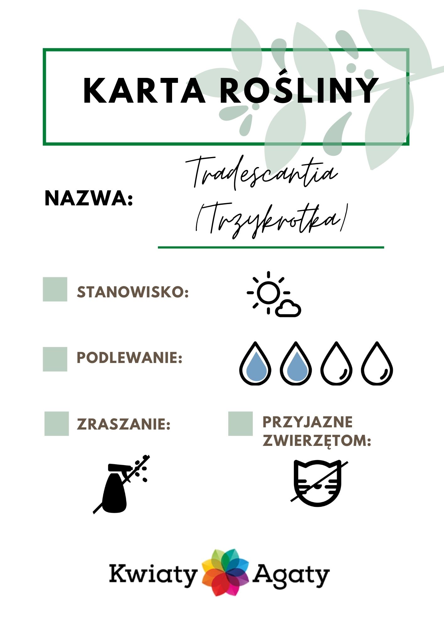 karta-rosliny-trzykrotka