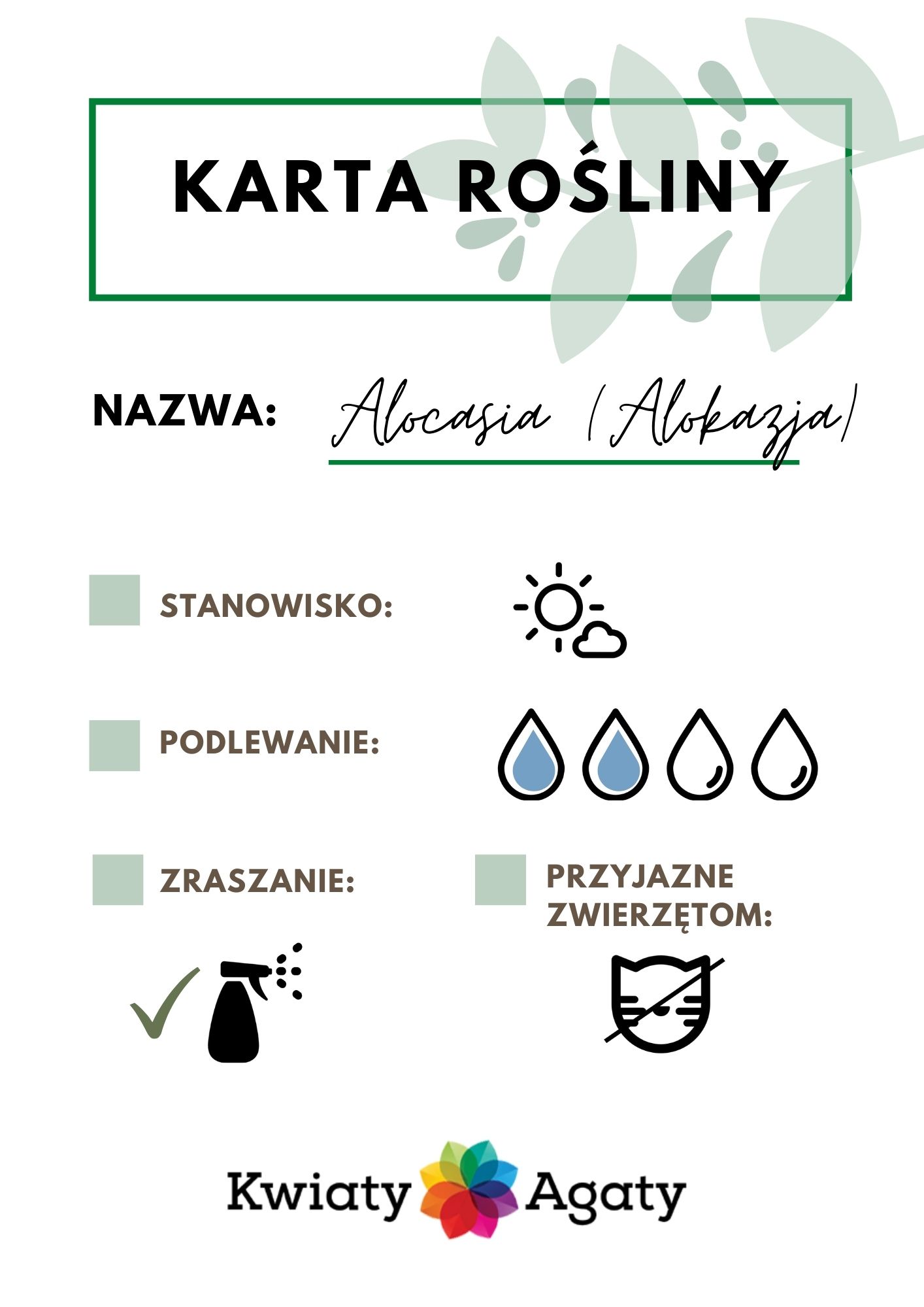 karta-rosliny-alokazja