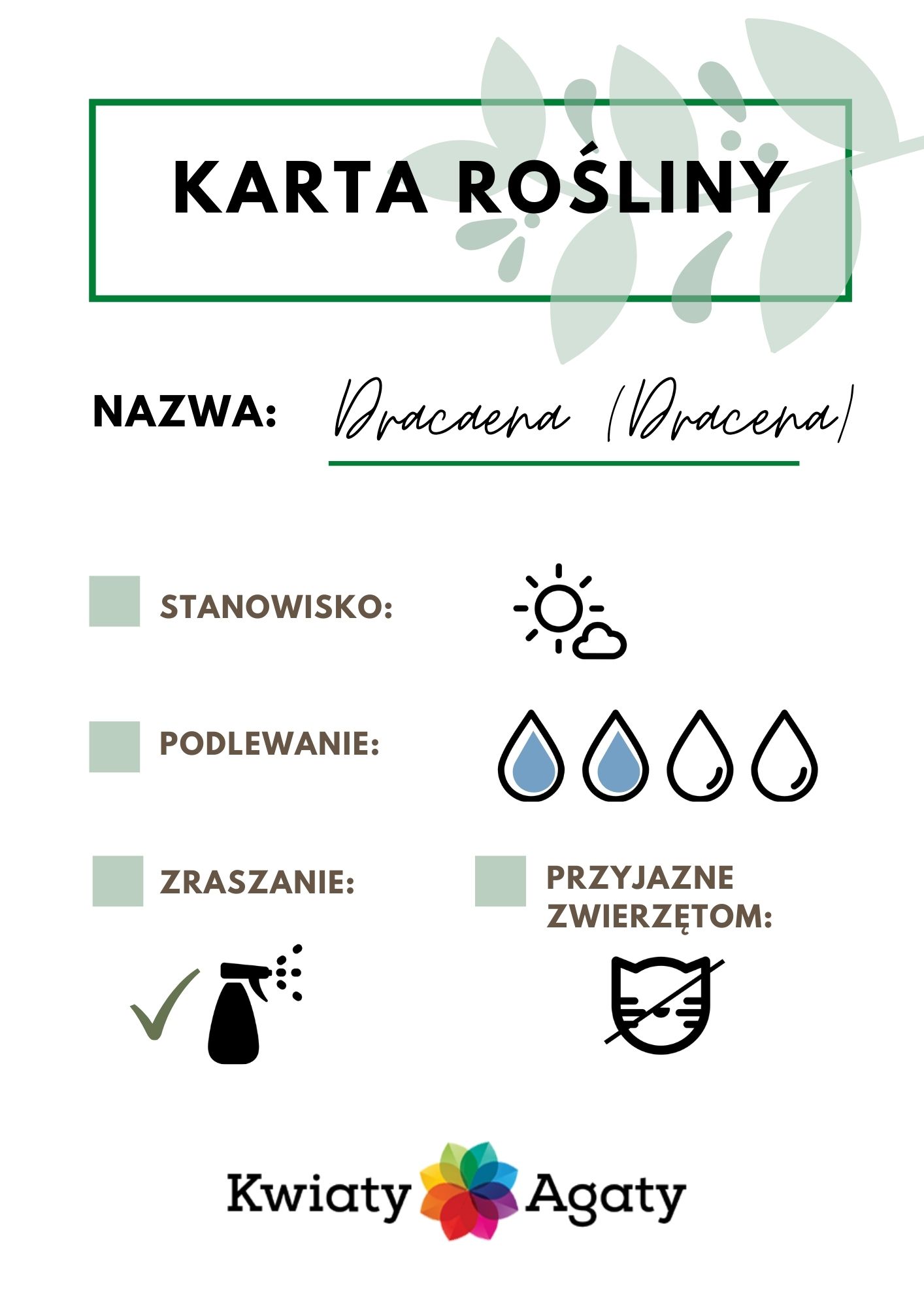 karta-rosliny-dracena
