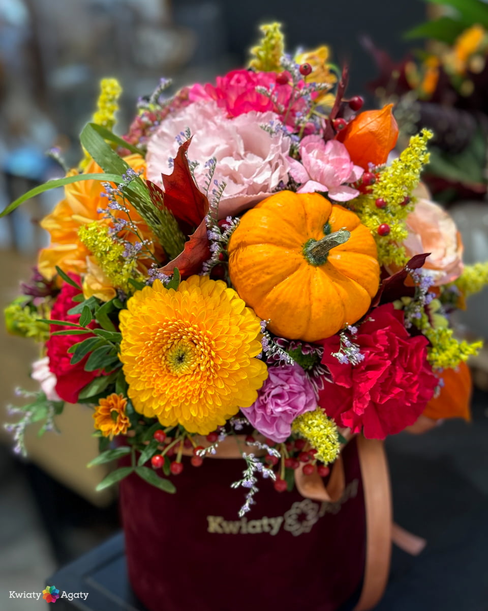 kwiatyagaty-flowerbox-z-dynia-mix