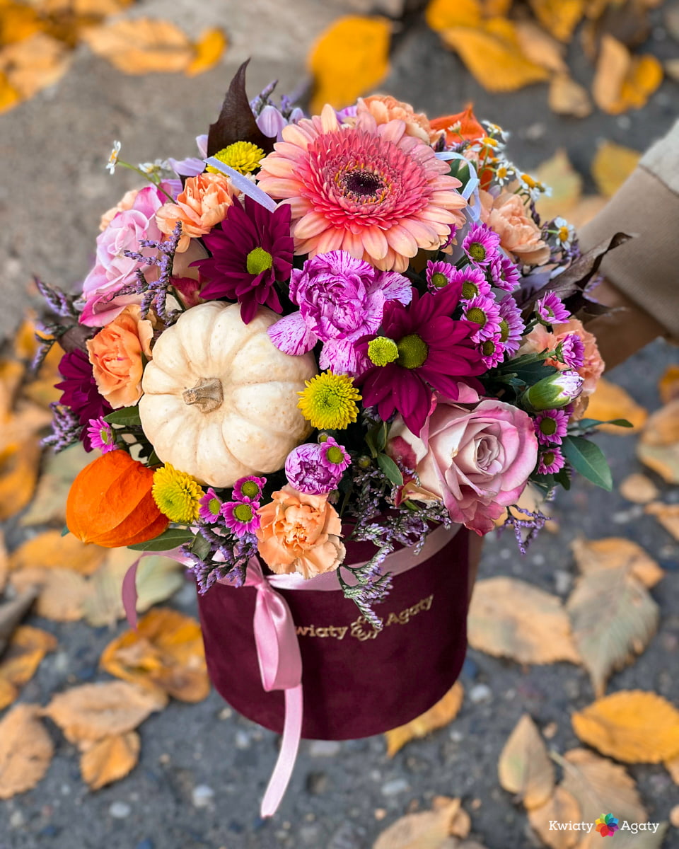 kwiatyagaty-jesienny-flowerbox-dynia-biala
