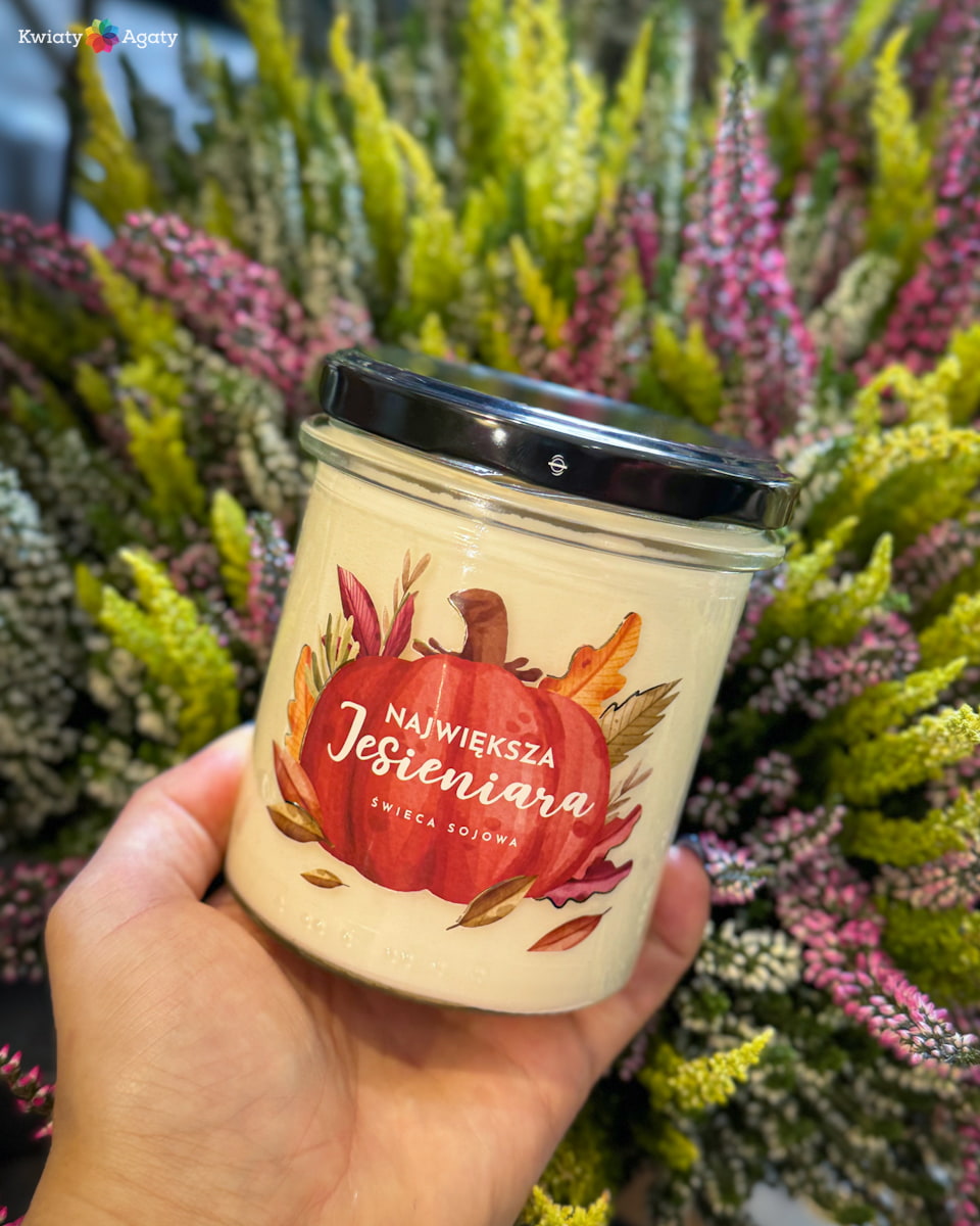 kwiatyagaty-swiece-najwieksza-jesieniara